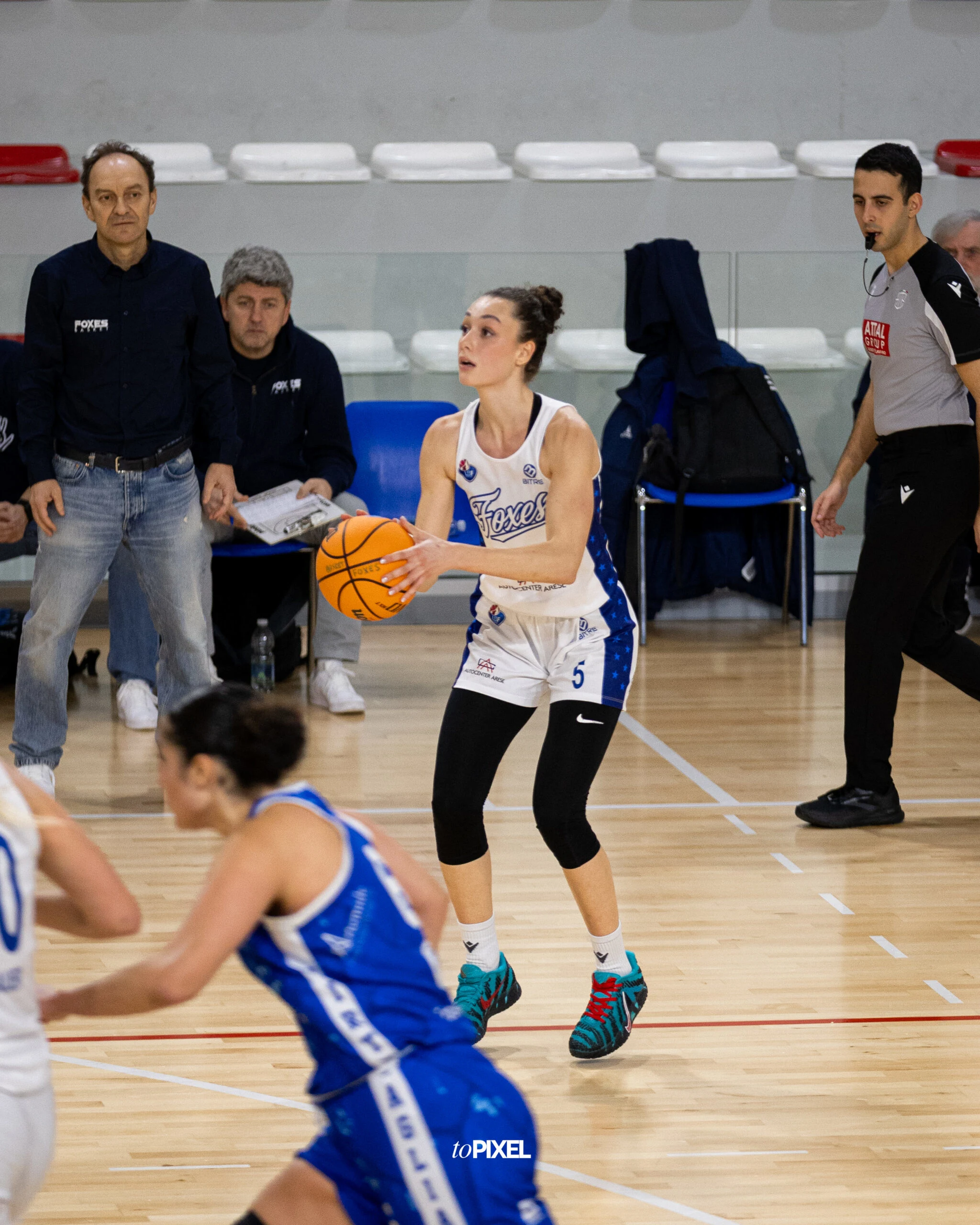basket foto 25